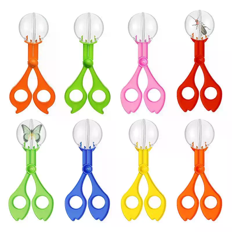 Set Gunting Penangkap Serangga - Outdoor Camping Activities For Kids ulasan dan harga