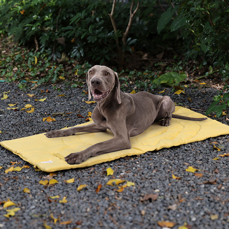 Alas hewan peliharaan portabel - Outdoor Camping Rugs ulasan dan harga